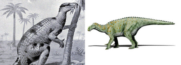 عمل فني من القرن 19 للإيجوانودون برنيصارتينسيس Iguanodon Bernissartensis، الذي سمي نسبة إلى منجم الفحم البلجيكي حيث اكتشفت عينة ضخمة لهذا العاشب. يعطي العمل الفني الديناصور مظهرًا شبيهًا بالتمساح مقارنةً بأعمال فنية أكثر حداثة (على اليمين). حقوق الصورة: JOSEPH SMIT/ WIKICOMONS ; NOBU TAMURA/ WIKICOMONS (CC BY-SA 3.0)