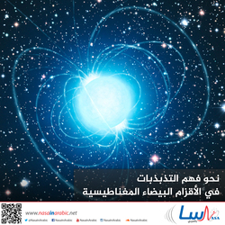 نحو فهم التذبذبات في الأقزام البيضاء المغناطيسية