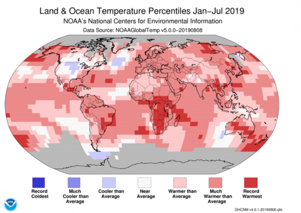 خريطة حرارة عالمية أخرى تُظهر أنّ الكوكب بأكمله تقريباً كان أسخن من المتوسط في عام 2019 حتى الآن.  حقوق الصورة: NOAA