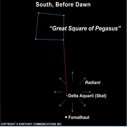 إن النقطة المُشعّة لوابل دلتا الدلويات تكون بالقرب من نجم سكات(Skat) ، أو دلتا أكواري (Aquarii) هذا النجم قريب من السماء إلى نجم أكثر إشراقاً يُدعّى فومالوت (Fomalhaut) والذي يمكن العثور عليه تقريباً على خط مرسوم جنوباً من خلال النجوم على الجانب الغربي من مربع النجوم بيغاسوس  (Great Square of pegasus).