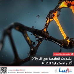 التبدلات الغامضة في الـ DNA أثناء الاستجابة للشدة