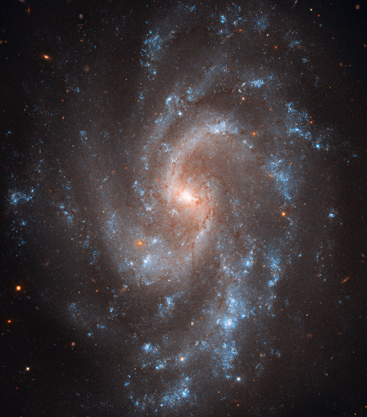 وكالة الفضاء الأمريكية (ناسا)، وكالة الفضاء الأوروبية (إيسا)، آدم ريس (معهد علوم تلسكوب الفضاء/جامعة جونز هوبكنز) إل. ماكري (جامعة تكساس إيه آند أم)، وفريق تراث هابل (معهد علوم تلسكوب الفضاء/رابطة الجامعات لأبحاث الفلك) مجرة NGC 5584الملتقطة بواسطة الكاميرا واسعة النطاق 3 (WFC3) على متن تلسكوب هابل يرسم الضوء الأزرق اللامع الصادرعن النجوم الشابة شكل الأذرع اللولبية الجميلة التي تُميز مجرة 5584 NGC. كما تظهر العديد من خطوط الغبار الرقيقة وهي تنساب من قلب المجرة ذي اللون المائل إلى الصُفرة حيث تُوجد النجوم الأقدم. أما النِقاط الحمراء المنتشرة في الصورة فهي بشكل عام مجرات أخرى بعيدة.