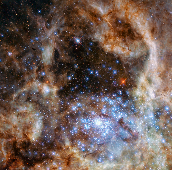 تظهر صورة هابل المنطقة المركزية من سديم العنكبوت Tarantula Nebula في سحابة ماجلان الكبرى. يمكن رؤية العنقود النجمي R136 في أسفل يمين الصورة. يحتوي هذا العنقود على مئات النجوم الزرقاء الشابة، من ضمنها أضخم نجم تم اكتشافه في الكون حتى الآن.