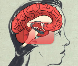 كيف يمكن للتأمل أن يغير الدماغ؟