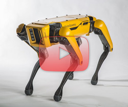 روبوتات Boston Dynamics المدهشة!